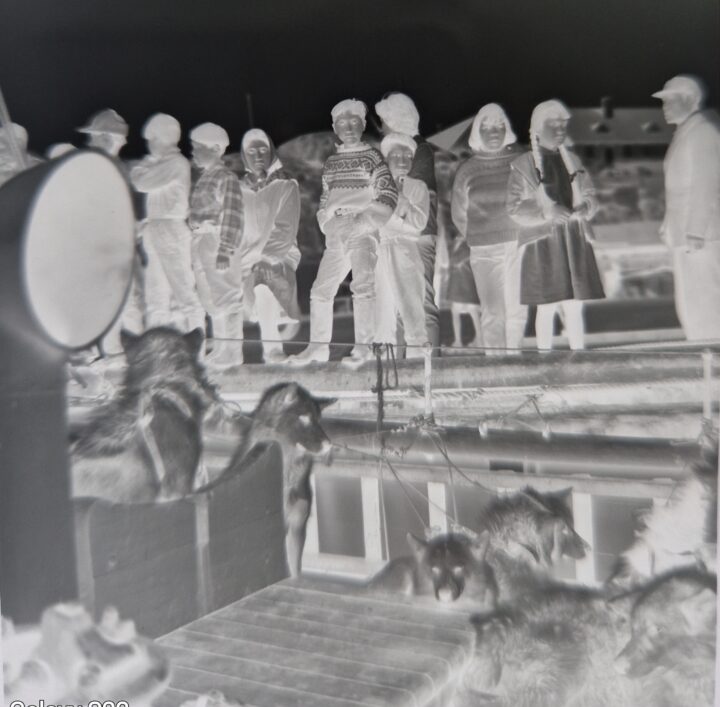 F 0124 a Groenland Stiftung Werner Schwarz | Bern Schweiz