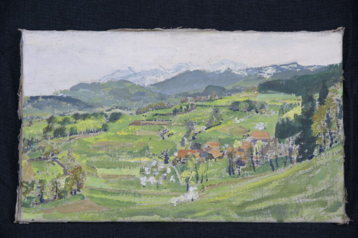 M 0405 1 Stiftung Werner Schwarz | Bern Schweiz